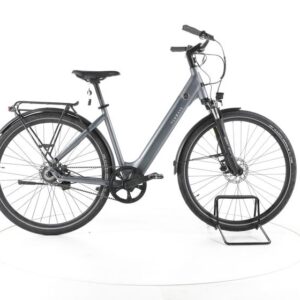 TENWAYS CGO800S City E-Bike Tiefeinsteiger