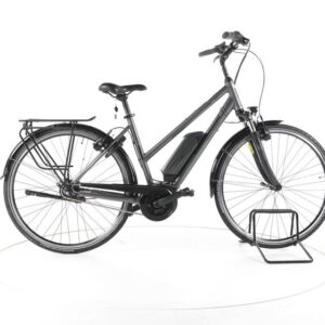 Triumph E-Cloud Plus City E-Bike