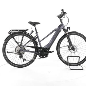 Hercules Pasero Pro I-12 Trekking E-Bike