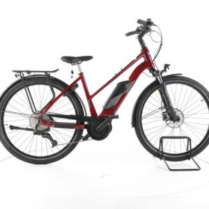 MORRISON E 6.0 Trekking E-Bike