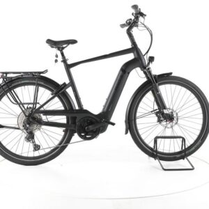 Pegasus Strong EVO 12 Lite Trekking E-Bike 2023