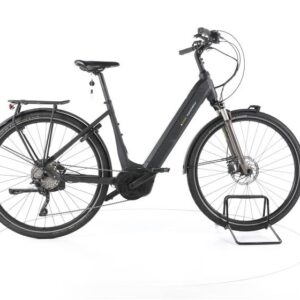 Kieler Manufaktur Cross LTD Trekking E-Bike Tiefeinsteiger 2023