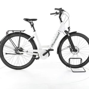 Diamant Beryll Deluxe+ Gen 2 City E-Bike Tiefeinsteiger