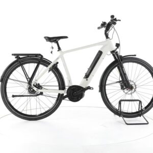 Rose Xtra Watt Evo Plus 2 City E-Bike