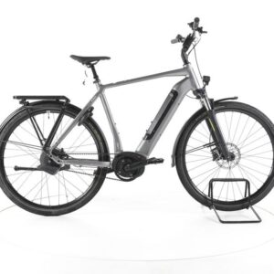 Rose Xtra Watt Evo Plus 3 City E-Bike