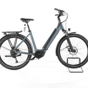 Winora Sinus 9 Trekking E-Bike Tiefeinsteiger