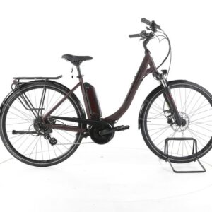 Triumph e-bird Plus Trekking E-Bike Tiefeinsteiger