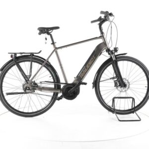Raleigh BRISTOL PREMIUM City E-Bike