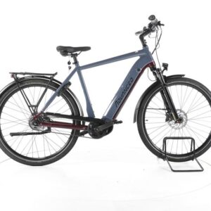 ADVANCED Trekking Pro X City E-Bike