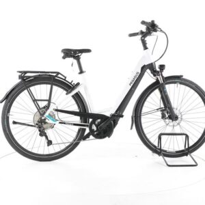 Pegasus Premio EVO 10 Lite Trekking E-Bike Tiefeinsteiger