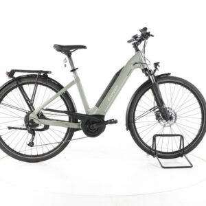 Carver Route E. Trekking E-Bike Tiefeinsteiger