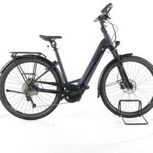Pegasus Premio EVO 10 Lite Trekking E-Bike Tiefeinsteiger