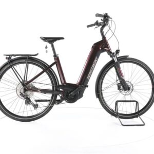 Bergamont E-Horizon Expert Trekking E-Bike Tiefeinsteiger