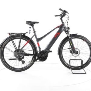 R Raymon TourRay E 6.0 Trekking E-Bike