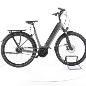Raleigh Bristol XXL City E-Bike Tiefeinsteiger