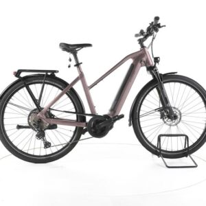 Carver Route E.530 Trekking E-Bike