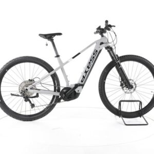 Axess Oxid 29 E-Bike 2024