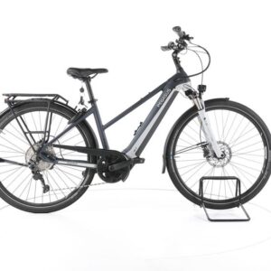 Pegasus Premio EVO 10 Lite Trekking E-Bike