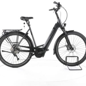 Pegasus Strong EVO 10 Trekking E-Bike Tiefeinsteiger