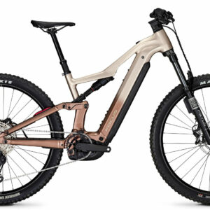 Focus THRON² 6.8 ABS Adamantsilver / Platinumbronze 29" 800 Wh Diamant