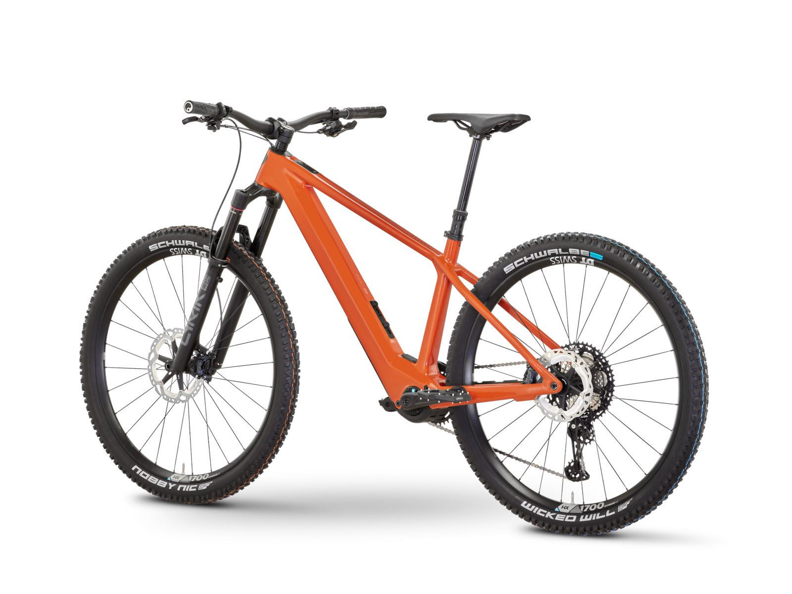 Rose Bonero Plus 2 – Bild 4