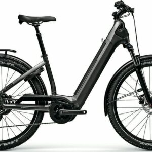E-Bike Centurion Country R800 L 2025 L_Grau frei Haus