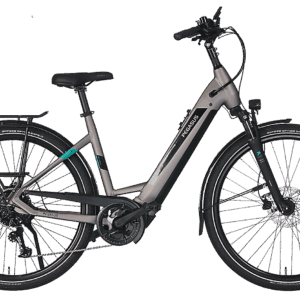 Pegasus Evo CX 625 Wh Damen silber 2024
