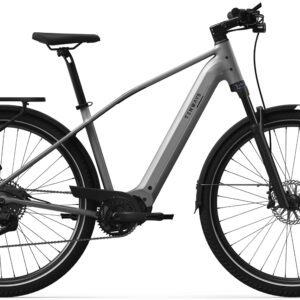 Tenways AGO X Special Edition 560 Wh Herren silber 2026