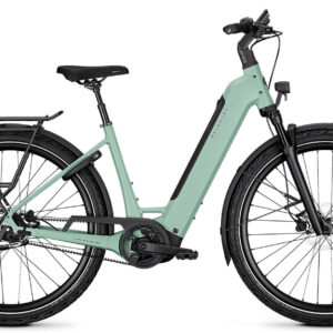 Kalkhoff IMAGE 3 EXCITE RT sagegreen matt 29" 600 Wh Wave