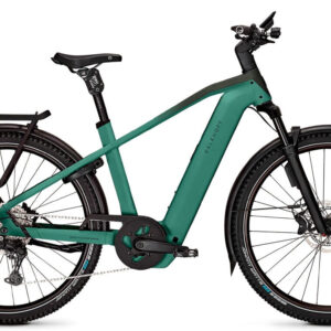 Kalkhoff ENTICE 5+ EXCITE ABS mineralgreen / huntsmengreen matt 29" 800 Wh Diama...