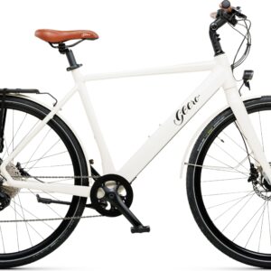 Geero FLEX E-Bike Cream 54 - braun & LC Display - gerader Lenker