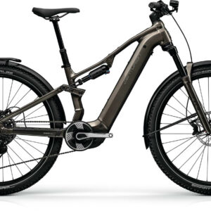 Centurion LHASA R1000 Kohlegrau 29" 800 Wh Diamant