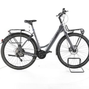 Wittich Manufaktur Trekking E-Bike Tiefeinsteiger