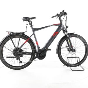 R Raymon TourRay E 6.0 Trekking E-Bike