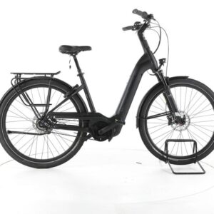 Pegasus EVO Strong 5F Lite Belt City E-Bike Tiefeinsteiger 2024