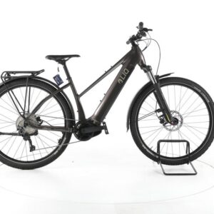 LIQBIKE ROCK Trekking E-Bike 2024
