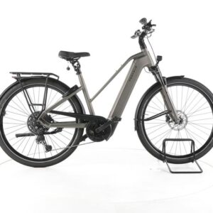 Pegasus PREMIO EVO 10 Lite Trekking E-Bike 2024