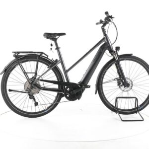 Pegasus Premio EVO 10 Lite Trekking E-Bike Tiefeinsteiger