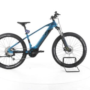 R Raymon HardRay E 5.0 E-Bike