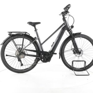 Pegasus Premio Evo 10 Lite Comfort Trekking E-Bike
