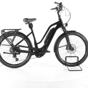 FLYER Upstreet3 7.10 Trekking E-Bike