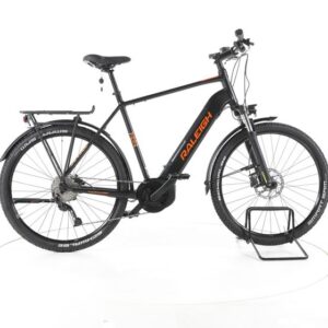 Raleigh DUNDEE LTD Trekking E-Bike