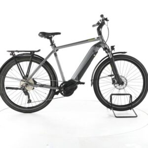 Winora Sinus iX10 Trekking E-Bike