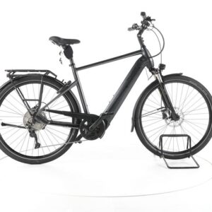 Pegasus Premio EVO 10 Lite Trekking E-Bike
