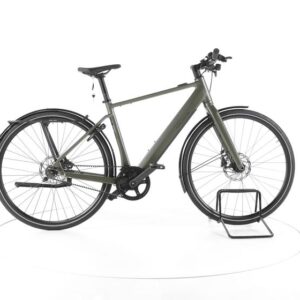 Riese & Müller UBN Five Single E-Bike