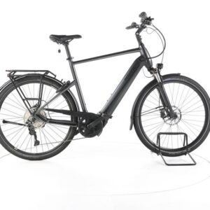 Pegasus Premio Evo 10 Lite Trekking E-Bike