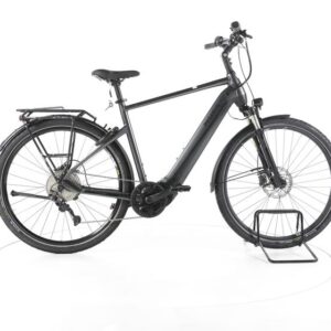 Pegasus Premio EVO 10 Lite Trekking E-Bike