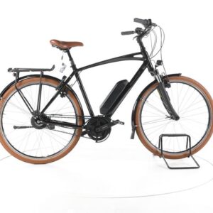 Riese & Müller Cruiser 2 Vario City E-Bike