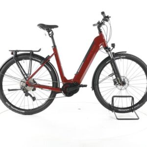 Focus Planet¬≤ 6.8 Trekking E-Bike Tiefeinsteiger