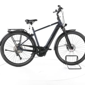 Pegasus Premio EVO 10 Lite Trekking E-Bike